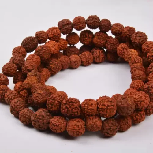 astromallProduct_261709056030 Rudraksha Mala