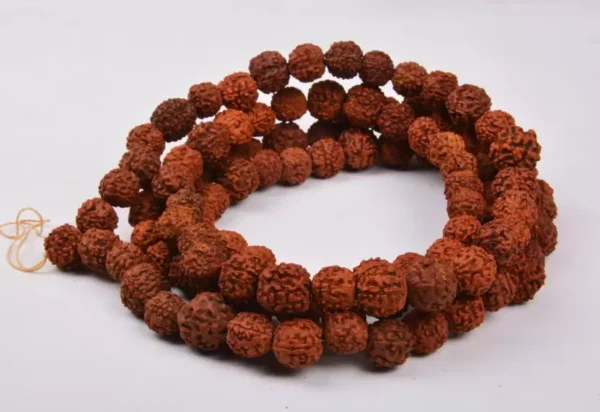 astromallProduct_261709056030 Rudraksha Mala